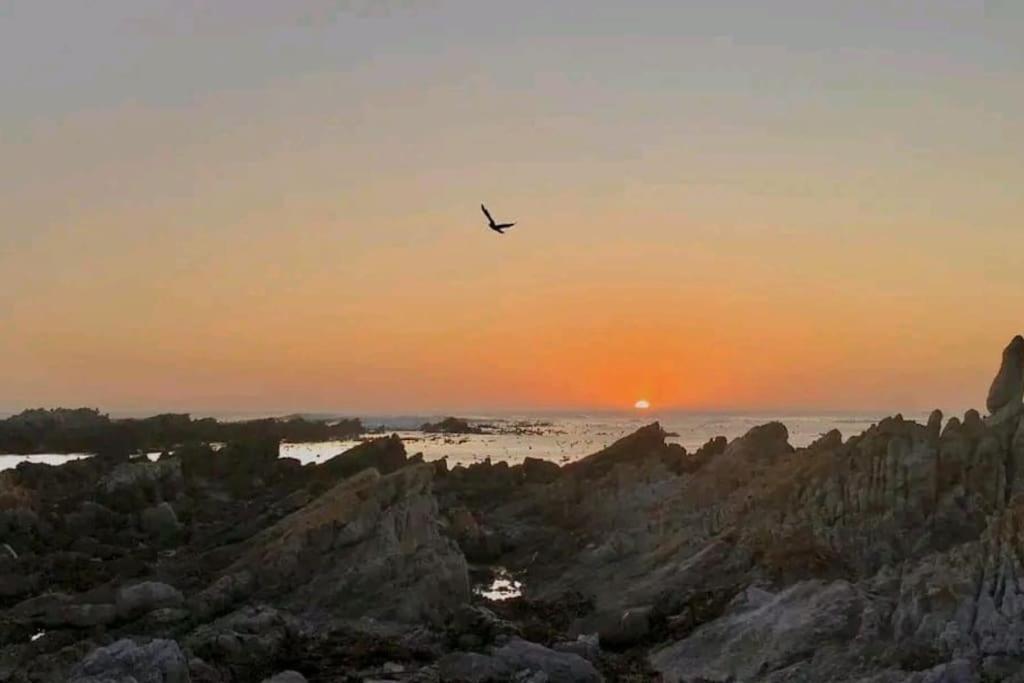 Hermanus Sea View Room エクステリア 写真